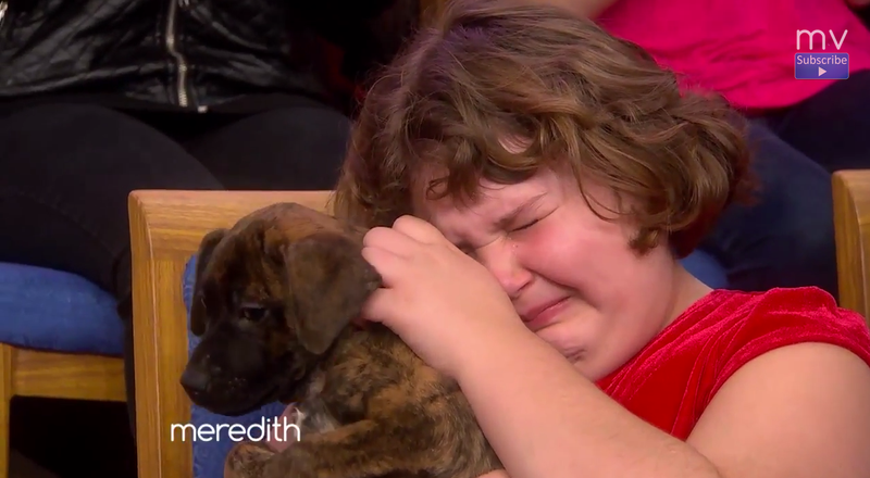 Illustration for article titled Watch This Little Girl React to Getting a Puppy the Exact Perfect Way